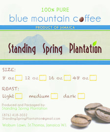 Standing Spring Plantation Jamaican Coffee